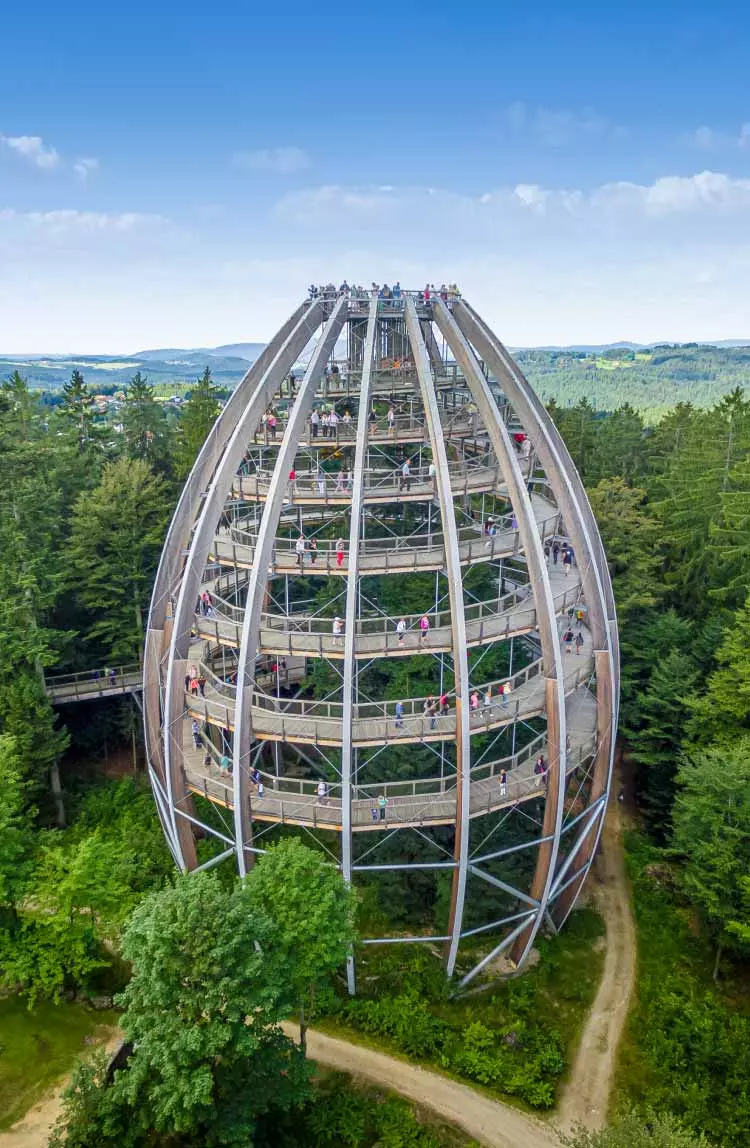 baumei-baumwipfelpfad